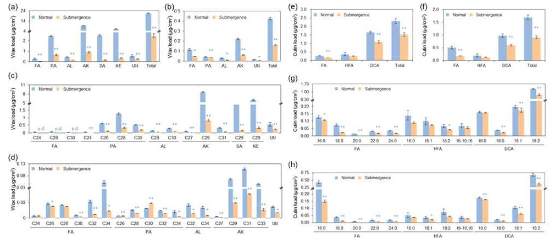 정상조건과 침수 조건에서 생육된 애기장대 줄기(a, c, e, g)와 잎(b, d, f ,h)의 큐티클 왁스 분석(a~d)과 큐틴 분석(e~h). FA, fatty acids(장쇄지방산). PA, primary alcohol. AL, aldehyde. AK, alkane. SA, secondary alcohol. KE, ketone. UN, unidentified. HFA, hydroxy fatty acids. DCA, dicarboxylic acids. Student t-test. *, P<0.05. **, P<0.01
