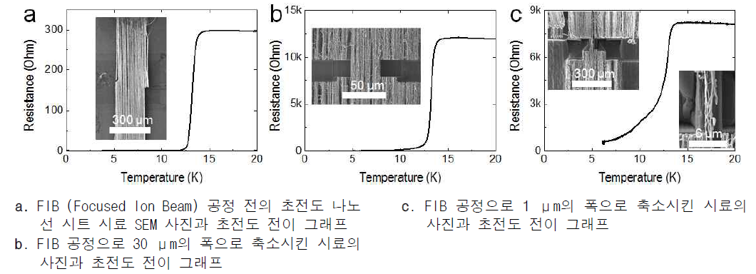 FIB 공정을 통한 초전도 시료 폭 축소