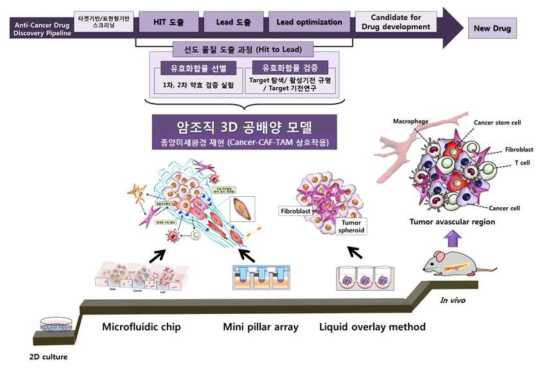 암조직 3D 공배양 모델은 기존의 2D 배양과는 달리 생체모사수준이 현저히 높음. 선도물질 도출과정에 적용하여 신약개발 성공률을 높일 수 있는 모델임