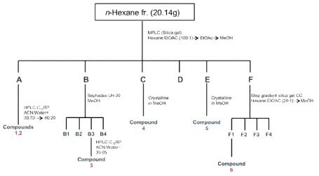 신이 n-hexane 분획물로부터 화합물 1-6의 분리