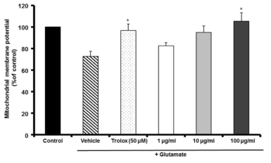 Inhibition by MF of glutamate-induced mitochondrial dysfunction