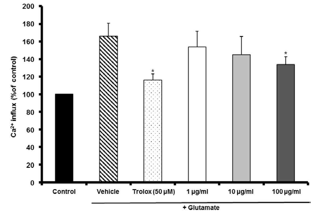 MF inhibited glutamate-induced Ca2+ influx