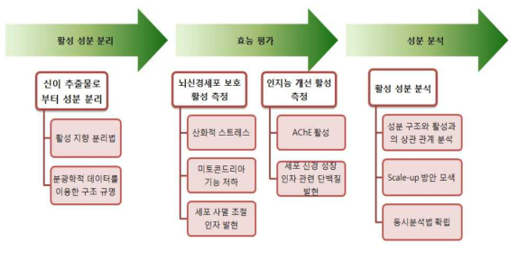 연구 추진 전략