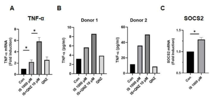 인간 단핵구에서 NF-κB 저해제에 의한 IS에 의한 TNF-α의 발현조절 및 SOCS2의 발현. A, TNF-α mRNA 발현. B, 2명의 정상대조군에서 TNF-α 단백질 발현. C, SOCS2 mRNA 발현