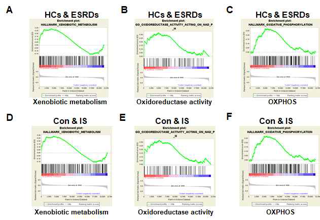 GSEA（gene set enrichment assay)