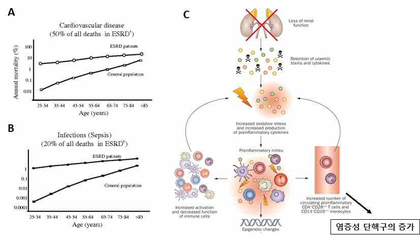 말기 신부전증 (ESRD)와 심혈관질환 및 감염질환 사망률과 면역세포의 변화 A-B, 만성신장질환자의 심혈관 질환 사망률 (A)과 감염 질환의 사망률 (B) C, 말기 신부전증의 면역시스템에서 요독증의 영향