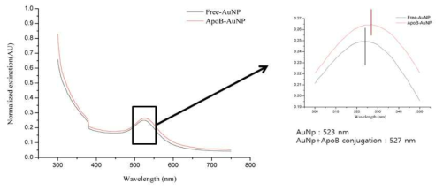 ApoB-AuNP 나노복합체 합성전후 광흡수 스펙트름