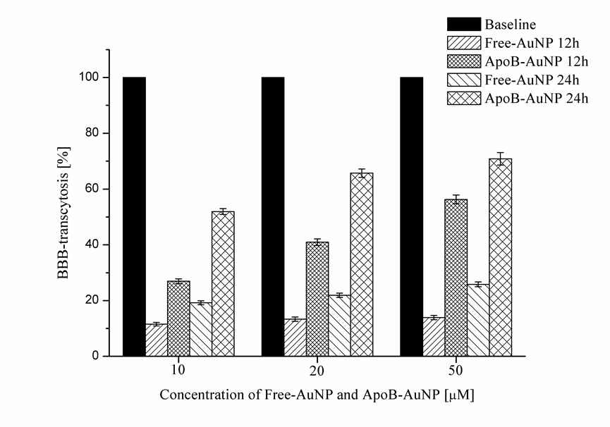 ApoB@AuNP의 BBB통과 특성 그래프. bare AuNP대비 120% 이상 증가됨