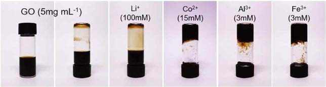 임계 겔화 농도의 서로 다른 금속 양이온 (Li+, Co2+, Al3+, Fe3+)이 첨가된 그래핀산화물 용액 이미지