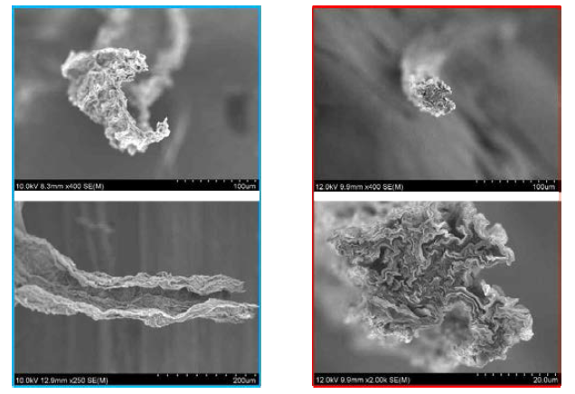 일반습식공정 및 연속방사 그래핀산화물 액정 섬유의 미세조직 분석