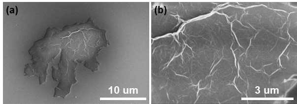 (a) 그래핀산화물 플레이크 표면에 폴리도파민 코팅 후의 SEM 이미지와 (b) 표면에 형성된 주름의 확대 이미지