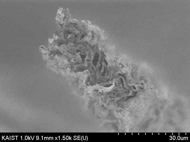 이황화몰리브덴을 유기 금속 화학 증착한 그래핀 섬유