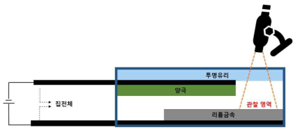 리튬표면의 실시간 모폴로지 변화 관찰을 위한 셀 구조 모식도