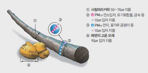 미세먼지의 특성 출처: 미국 환경보호청(EPA)