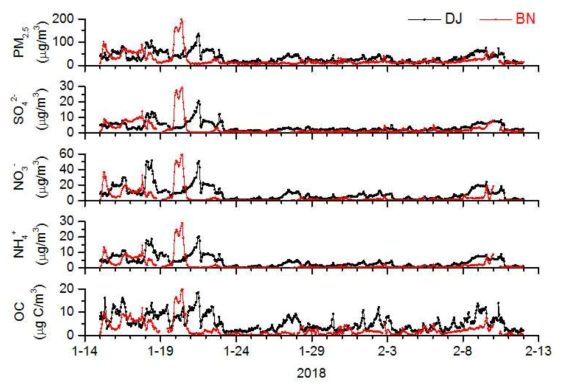 2018년 겨울철 집중측정 기간 중 대전과 백령도지역에서 측정된 PM2.5 질량 및 주요 화학조성 농도의 시계열 분포