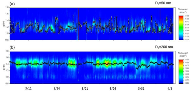 2018년 봄철 집중측정 기간 중 대전지역 대기 중 건조입자의 입경이 (a) 50 nm와 (b) 200 nm인 입자가 상대습도 85%에서 흡습성장 시계열 분포