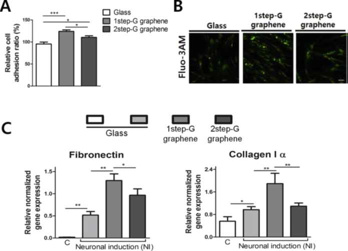 Neuronal differentiation of human mesenchymal stem cells in response to the domain size of graphene substrates