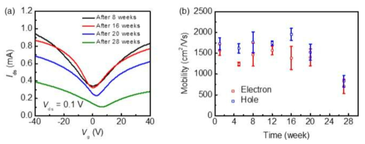 화학기상증착법으로 합성하고, 진공 상태에서 일정 기간 동안 보관한 후 제작한 그래핀 트랜지스터의 (a) IDS-VG 특성과 (b) 전하이동도