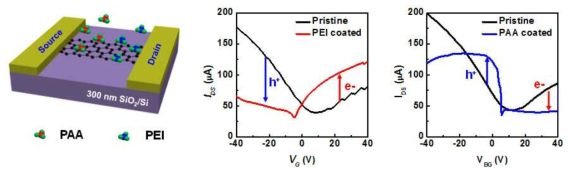 PEI와 PAA를 표면처리한 그래핀 트랜지스터의 모식도와 PEI, PAA 표면처리 전·후의 IDS-VG 특성 그래프