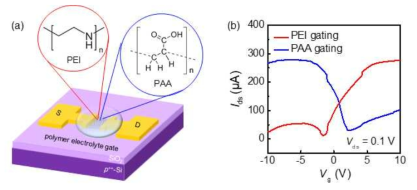 폴리머 전해질 게이트를 이용한 (a) 그래핀 트랜지스터 소자의 모식도와 (b) IDS-VG 특성