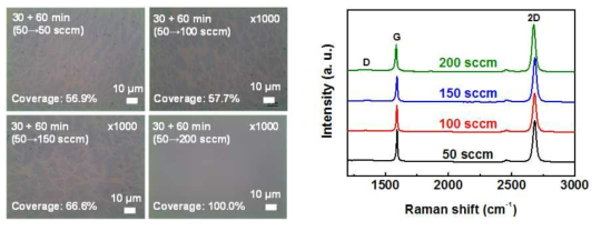 피리딘을 탄소소스로 이용하여 2-step의 화학기상증착법으로 합성한 그래핀의 광학현미경 이미지, 라만 스펙트럼