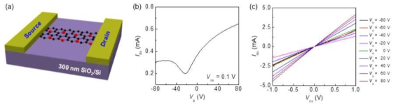 질소가 도핑된 그래핀 기반 트랜지스터 소자의 (a) 모식도와 (b) IDS-VG, (c) IDS-VDS 특성