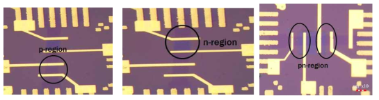 p, n- region 도핑 후 소자의 광학 이미지