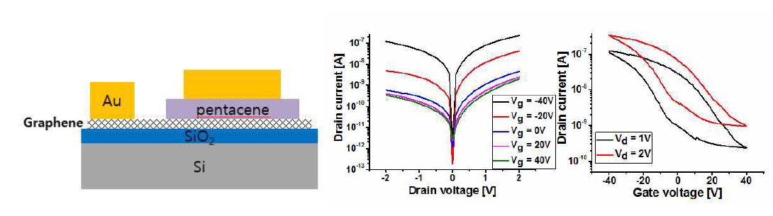Graphene-pentacene 배리스터 구조 및 I-V 특성