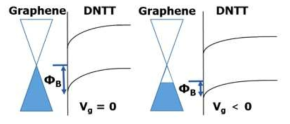 그래핀과 DNTT 접합의 동작 원리