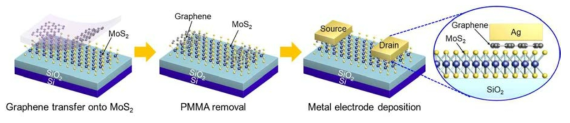 Graphene/Ag 전극을 이용한 MoS2 트랜지스터 소자 제작 공정 모식도