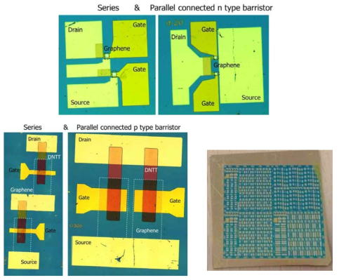 n type, p type 그래핀 배리스터의 직렬, 병렬연결 공정에 대한 광학 이미지 및 대면적 기판에 다수의 단위 소자 형성 공정 후 광학 이미지