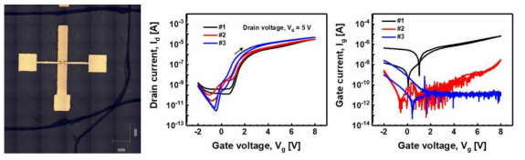 다층 스택 삼진로직소자의 광학 이미지 및 전기적 특성 (Id-Vg 및 Ig-Vg)