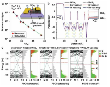 그래핀/WSe2 소자의 (a) 1/kBT vs. 드레인 전류, (b)결함원소에 따른 포텐셜 변화, (c)결함원소에 따른 전자구조 변화