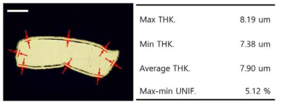 단면 샘플에서의 두께 측정 위치 및 불균일도 계산값
