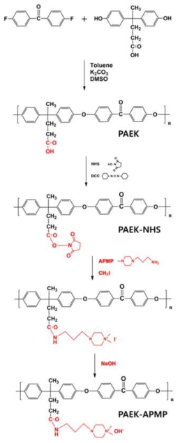 PAEK와 PAEK-NHS, 관능화된 PAEK-APMP 합성도