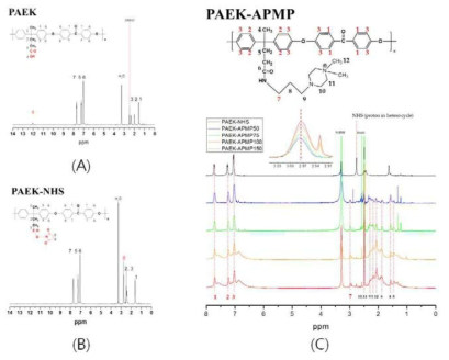 (A) PAEK, (B) 활성화된 PAEK-NHS, (C) PAEK-APMP 의 1H-NMR 분석 결과