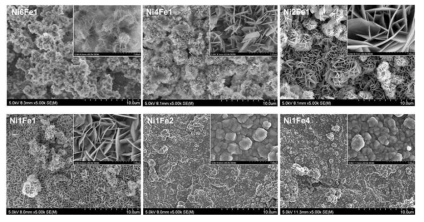 Ni-Fe 조성에 따라 수열합성법으로 개발된 수산화물의 SEM 분석