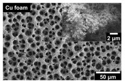 Cu 폼의 SEM 사진