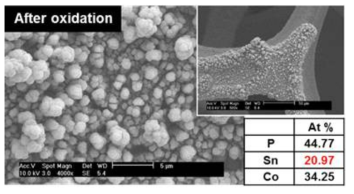 산 처리한 후의 SnCoP 표면 SEM 이미지 및 EDS 결과