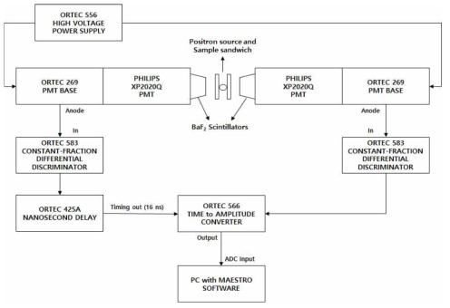 Scheme of the positron annihilation lifetime spectroscopy experiment