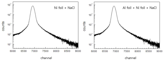 The source correction spectrum for PALS experimental