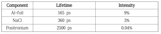 The lifetime and intensity of source correction components