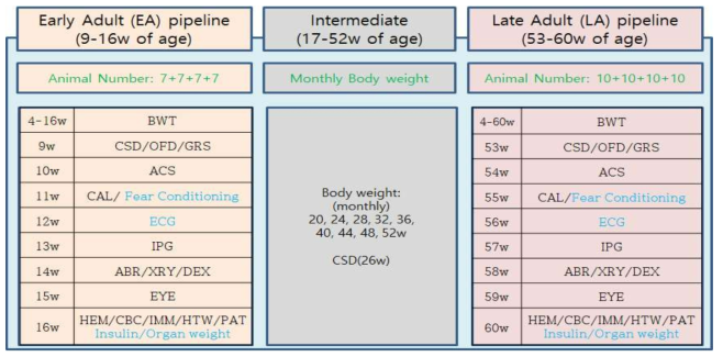 KMPC adult mouse phenotyping pipeline