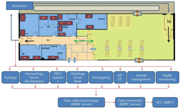 KRIBB에 갖추어진 KMPC기본표현형 분석을 위한 시설배치도
