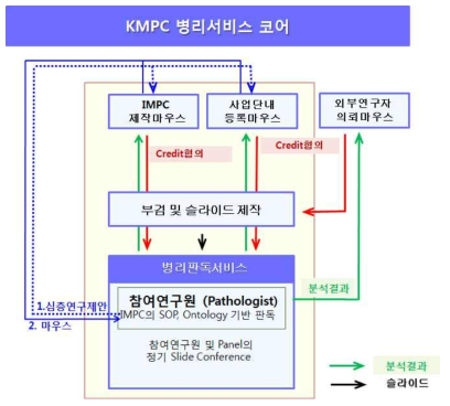 국가마우스표현형분석 사업단 (KMPC)의 병리분석 서비스 연구 개념도