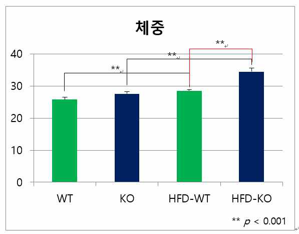 IDH2 KO 마우스와 WT마우스의 체중 비교