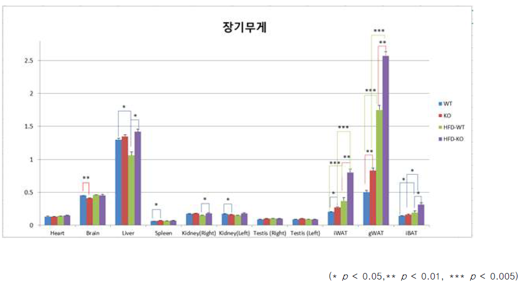 IDH2 KO 마우스와 WT마우스의 장기무게 비교