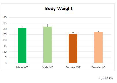 Beclin1 마우스 체중비교