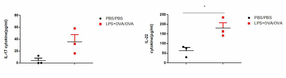 IL-17 and IL-22 ELISA in BALF of Neutrophilic asthma model mice