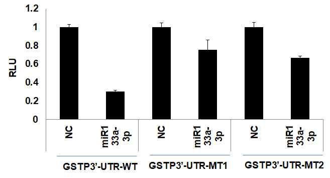 MCF-7:R 세포에 miR133a-3p mimics 및 GSTP3’-UTR 부위를 포함하는 reporter plasmid를 함께 transfection 한 후 reporter gene (luciferase) 발현을 측정함. GSTP3’-UTR에서 주요 결합부위에 mutation된 유사한 plasmid를 transfection 시킨 후 reporter gene 발현을 측정함